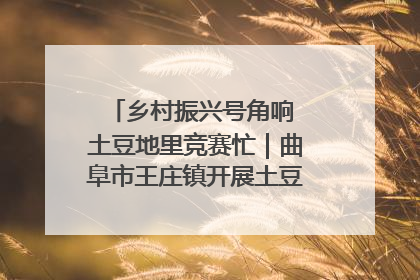 乡村振兴号角响 土豆地里竞赛忙｜曲阜市王庄镇开展土豆收获劳动竞赛